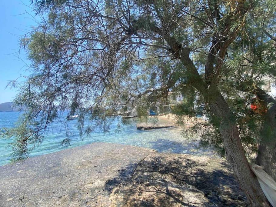 Casa Del Mar Milos Plaka  المظهر الخارجي الصورة